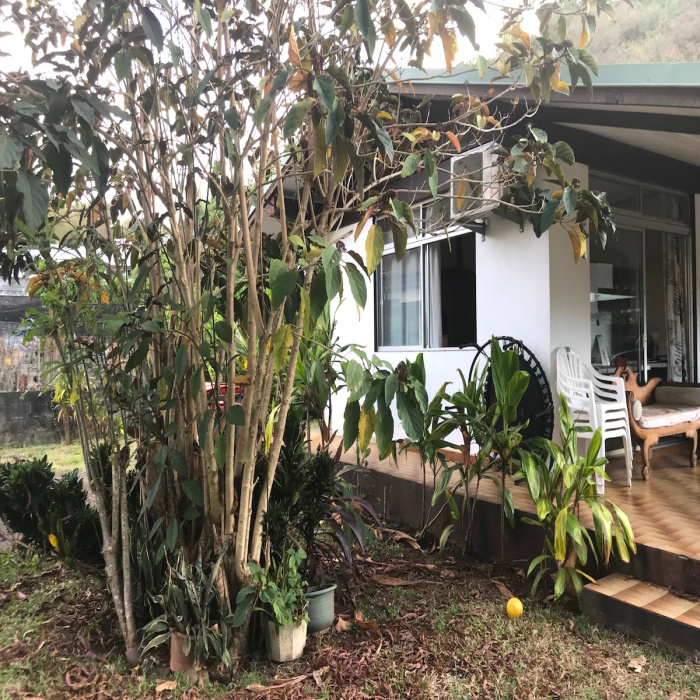 Vente appartement, terrain et maison à Tahiti Polynésie Française